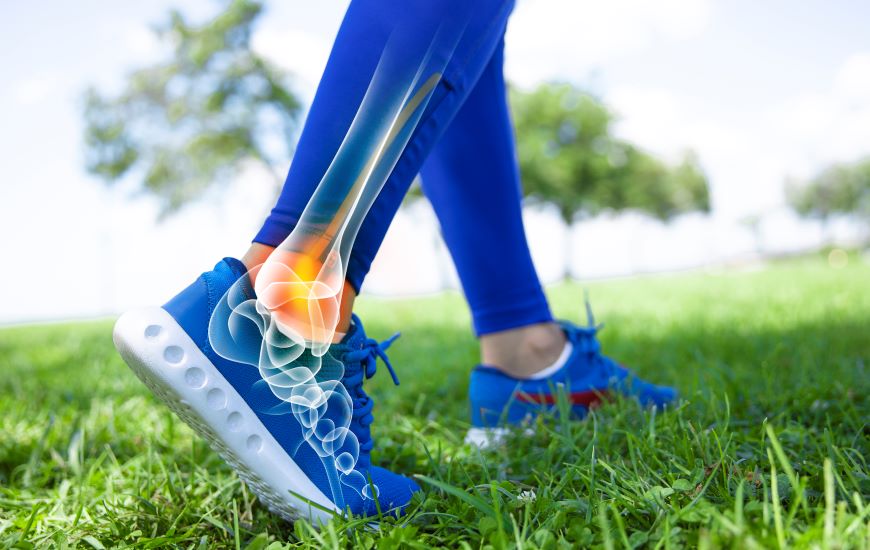 Photo of a leg showing an overlay of bones